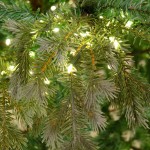 Geneva Pre-Lit χριστουγεννιάτικο δέντρο με φύλλωμα μεικτό PE-PVC σε πράσινη απόχρωση με ενσωματωμένα 2400 led και ύψος 240 εκ