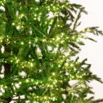 Geneva Pre-Lit χριστουγεννιάτικο δέντρο με φύλλωμα μεικτό PE-PVC σε πράσινη απόχρωση με ενσωματωμένα 2400 led και ύψος 240 εκ