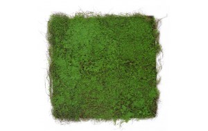 Green Wall διακοσμητικός κάθετος κήπος φυλλωσία σε πράσινη απόχρωση 100x100 εκ