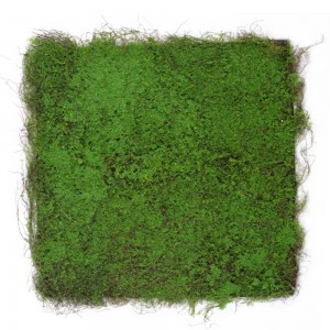 Green Wall διακοσμητικός κάθετος κήπος φυλλωσία σε πράσινη απόχρωση 100x100 εκ