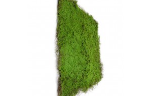 Green Wall διακοσμητικός κάθετος κήπος φυλλωσία σε πράσινη απόχρωση 100x100 εκ