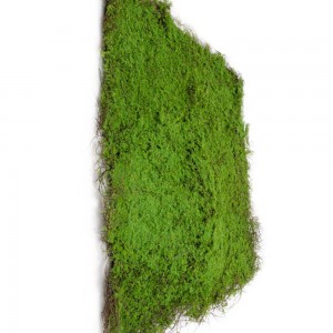 Green Wall διακοσμητικός κάθετος κήπος φυλλωσία σε πράσινη απόχρωση 100x100 εκ