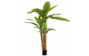 Banana Tree διακοσμητική γλάστρα μπανανιάς με πράσινα φύλλα 200 εκ