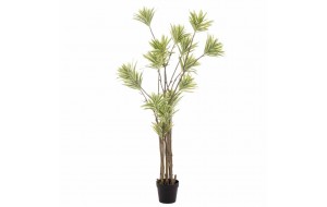 Διακοσμητική γλάστρα με Lily Bamboo με φύλλα σε πράσινη απόχρωση 160 εκ