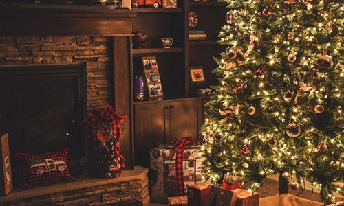 Αποστολή Χριστουγεννιάτικο δέντρο! ‘Οσα πρέπει να ξέρεις για να διαλέξεις το ομορφότερο!