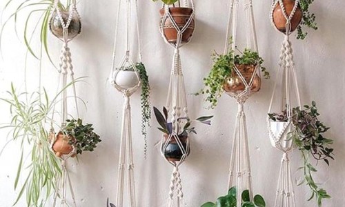 ‘Εξυπνοι τρόποι για να κρεμάσετε τα φυτά σας μέσα και έξω από το σπίτι