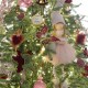 Good News ολοκληρωμένη διακόσμηση Χριστουγεννιάτικου δέντρου με 107 στολίδια