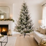 Vail Pre-Shaped χριστουγεννιάτικο δέντρο flocked με μεικτό φύλλωμα 270 εκ
