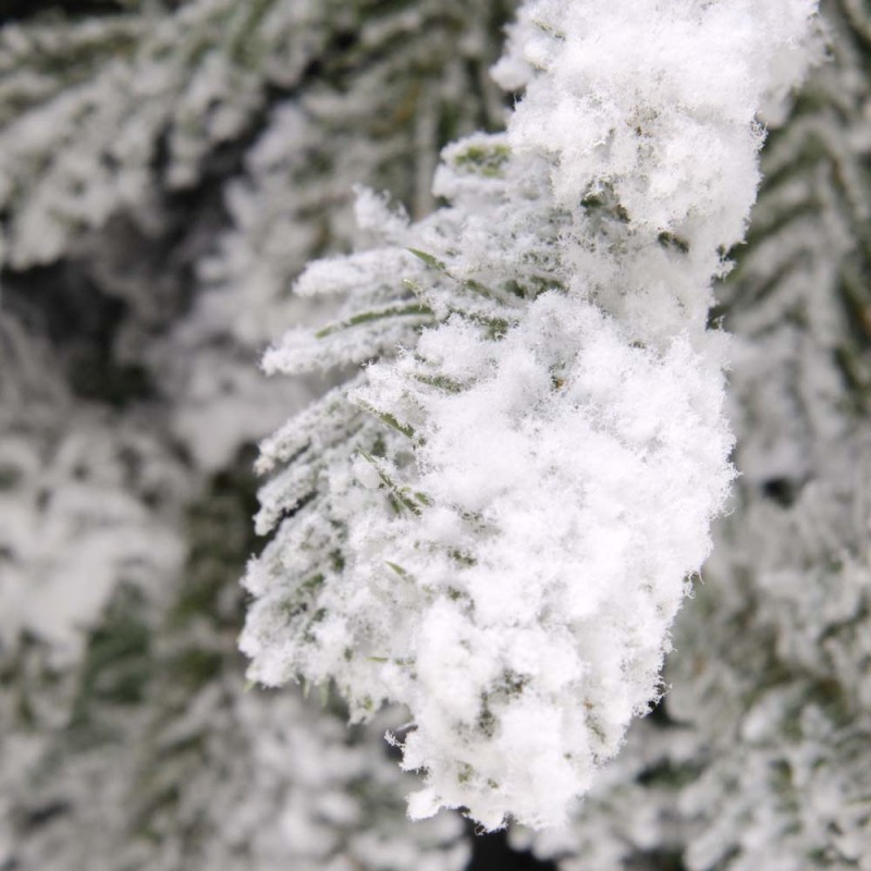 EchoSnowy Nor Χριστουγεννιάτικο Δέντρο χιονισμένο 240 εκ