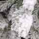EchoSnowy Nor Χριστουγεννιάτικο Δέντρο χιονισμένο 240 εκ