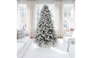 Sugar Pine δέντρο χριστουγεννιάτικο χιονισμένο 270 εκ