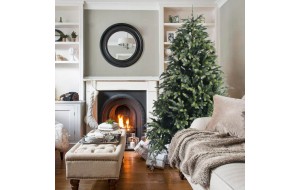 Flaser Fir Χριστουγεννιάτικο δέντρο  με mix φύλλωμα και ύψος 210 εκ