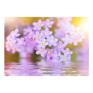 Φωτοταπετσαρία -  Violet Petals In Bloom