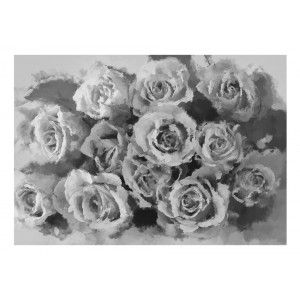 Φωτοταπετσαρία - A dozen roses 200x154 εκ