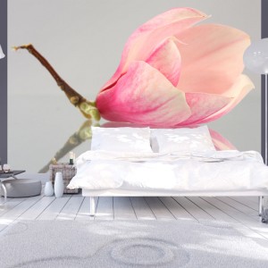 Φωτοταπετσαρία - A lonely magnolia flower 200x154 εκ