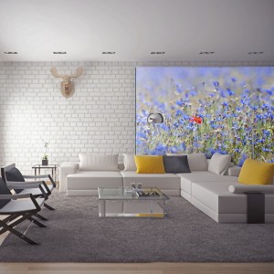 Φωτοταπετσαρία - A sky-colored meadow - cornflowers 200x154 εκ