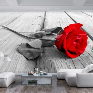 Φωτοταπετσαρία - Abandoned Rose
