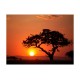 Φωτοταπετσαρία - Africa: sunset 200x154 εκ