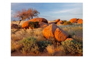 Φωτοταπετσαρία - African landscape, Namibia 200x154 εκ