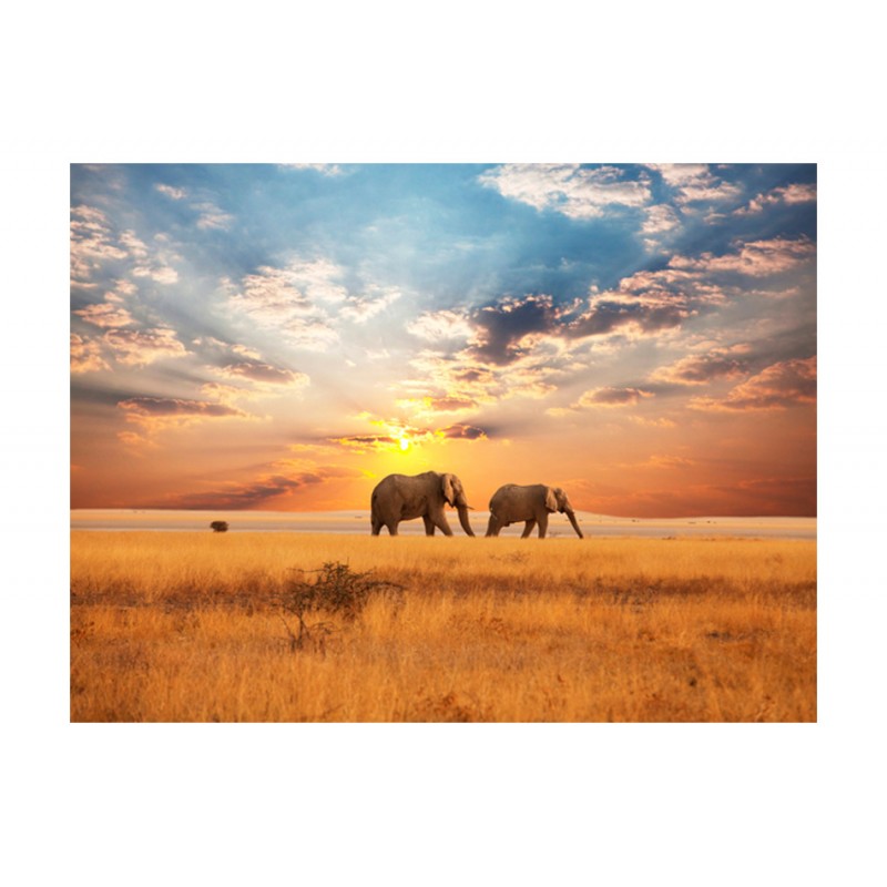 Φωτοταπετσαρία - African savanna elephants 200x154 εκ