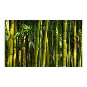 Φωτοταπετσαρία - Asian bamboo forest 450Χ270εκ