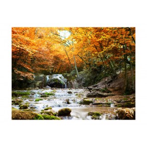 Φωτοταπετσαρία - autumn - waterfall 200x154 εκ