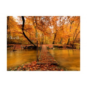 Φωτοταπετσαρία - Autumn bridge 200x154 εκ