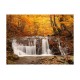 Φωτοταπετσαρία - Autumn landscape : waterfall in forest 200x154 εκ