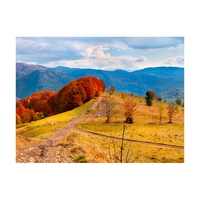 Φωτοταπετσαρία - Autumn landscape in the Carpathian mountains 200x154 εκ
