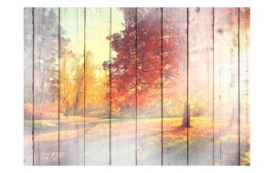 Φωτοταπετσαρία - Autumn Sun