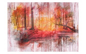 Φωτοταπετσαρία - Autumnal Forest