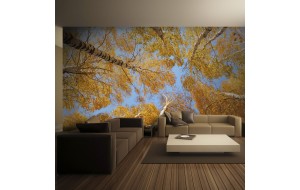 Φωτοταπετσαρία - Autumnal treetops 200x154 εκ