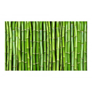 Φωτοταπετσαρία - Bamboo wall 550x270 εκ
