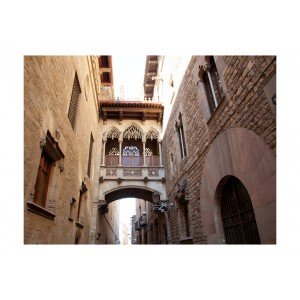 Φωτοταπετσαρία - Barcelona Palau generalitat in gothic Barrio 200x154 εκ