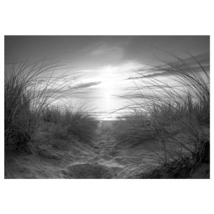 Φωτοταπετσαρία - beach (black and white)