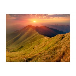 Φωτοταπετσαρία - Beautiful autumn landscape, Carpathians 200x154 εκ