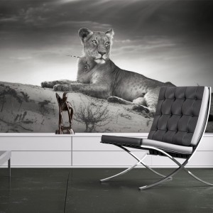 Φωτοταπετσαρία - Black and white lioness 200x154 εκ