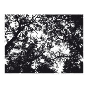 Φωτοταπετσαρία - Bleak forest 200x154 εκ