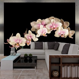 Φωτοταπετσαρία - Blooming orchid