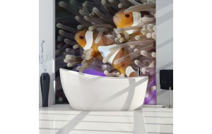 Φωτοταπετσαρία - Clownfish 200x154 εκ