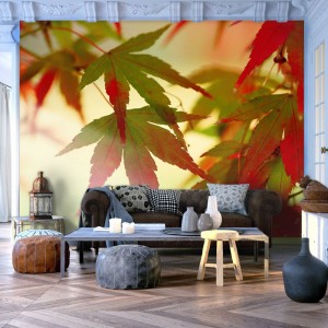 Φωτοταπετσαρία - Colourful leaves 200x154 εκ