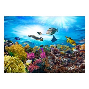 Φωτοταπετσαρία - Coral reef