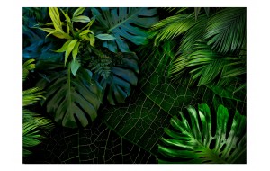 Φωτοταπετσαρία - Dark Jungle
