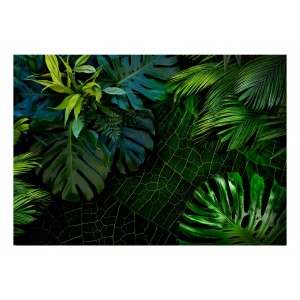 Φωτοταπετσαρία - Dark Jungle