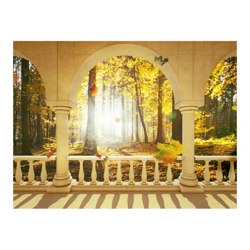Φωτοταπετσαρία - Dream about autumnal forest 200x154 εκ