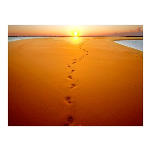 Φωτοταπετσαρία - Footprints in the sand 200x154 εκ