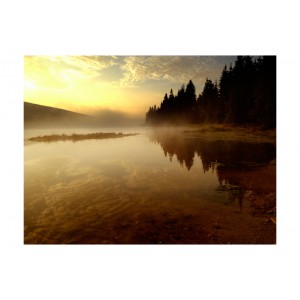 Φωτοταπετσαρία - Forest and lake 200x154 εκ