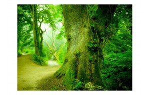 Φωτοταπετσαρία - Forest pathway 200x154 εκ
