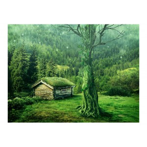 Φωτοταπετσαρία - Green seclusion 200x154 εκ