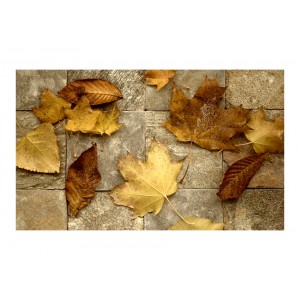 Φωτοταπετσαρία - Harbinger of autumn 200x154 εκ